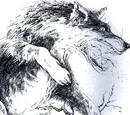 Huan