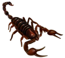 Red Scorpion