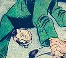Stormy Foster (Earth-X)