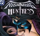 Nightwing/Huntress Vol 1 3