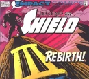 Legend of the Shield Vol 1 13