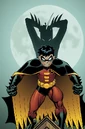 Robin Tim Drake 0010.jpg