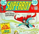 Superboy Vol 1 191