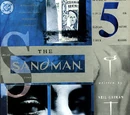Sandman Vol 2 45