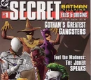 Batman Villains Secret Files and Origins Vol 1 1