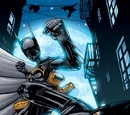 Cassandra Cain (New Earth)