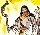 Druid (New Earth)