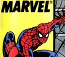 Web of Spider-Man Vol 1 53