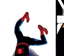Spider-Man Vol 1