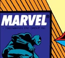 Marvel Comics Presents Vol 1 17