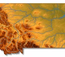 Montana State