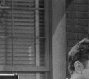 Danny Meets Andy Griffith