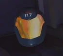 Adam's helmet