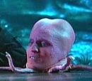 Tony Harrison