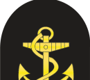 Enlisted Ranks