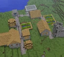 Village