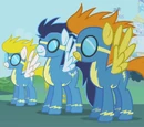 The Wonderbolts