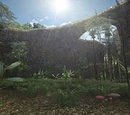 Frontier: Areas