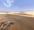 Deserts