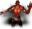 Meat
