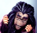 Professor Bobo