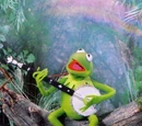 The Rainbow Connection