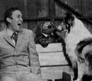 Lassie