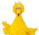 Big Bird
