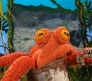 Octavio the Octopus