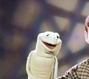 What is a Muppet?