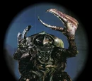 Garthim