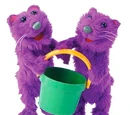 Pip and Pop
