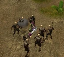 Whirlwind Attack