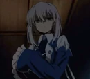 Echo
