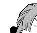 Nobility within Pandora Hearts