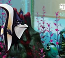 Gill