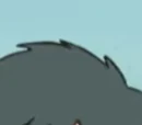 DP167: Teaching the Student Teacher!