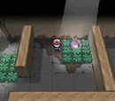 Dreamyard