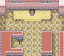 Hoenn Gyms