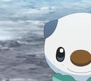 Ash's Oshawott
