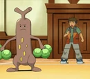 Sudowoodo Brocka