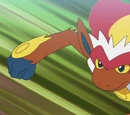 Infernape Asha
