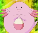Chansey Brocka