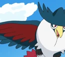 Honchkrow Paula