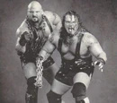 The Pitbulls