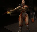 Iron Maiden (Q2)