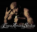 Tupac Shakur