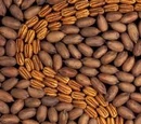 Nuts