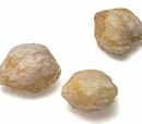 Candlenut