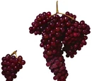 Zante grape